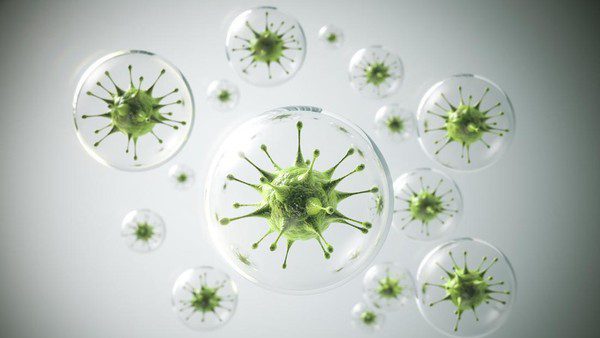 ilustrasivirus.png